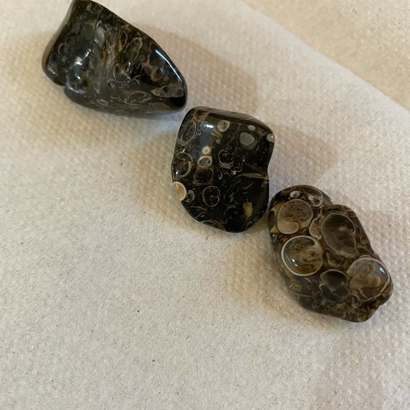 Turritella mineral polished stones, crystals. - Picture 2 of 4